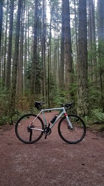 Niner RLT 9 photo