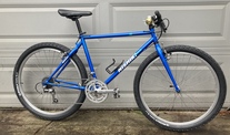 Nishiki Backroads