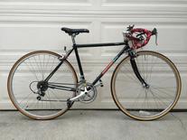 Nishiki Performance Equipe Sport photo