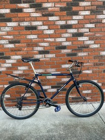 Nishiki Vintage Commuter