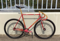 NJS Gan Well Pro Sparkle