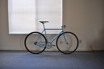 NJS Level 50.5cm photo