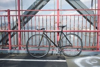 NJS Black and Gold Sparkle Makino photo