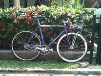 njs peloton