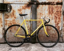 NJS Presto Yellow Flake photo