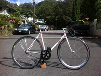 NJS Sakura Samson photo