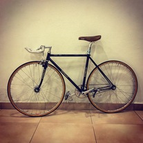 NJS Vivalo photo