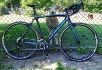 Norco Threshold C2 Carbon photo