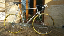 Olmo