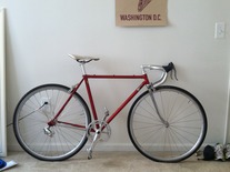 Olmo Build photo