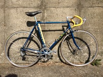 OLMO "Competition"