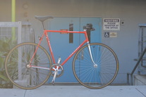 Omar's Colnago photo