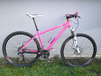 On-One Scandal 29er