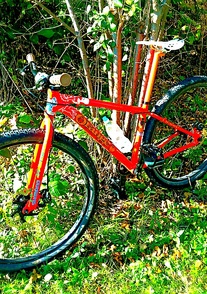 Orange 29er