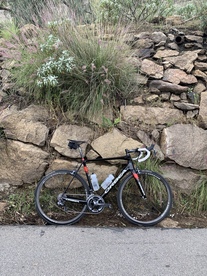 Orbea Orca