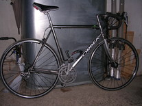 Orbea Polished photo