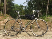 Panasonic City Cruiser