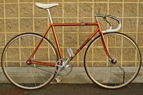 Panasonic Track NJS