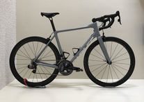 Parlee Altum 2017 photo