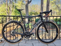 Parlee Altum