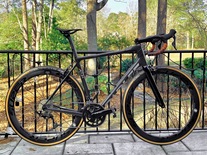 Parlee Altum
