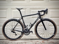 Parlee Altum