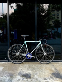 Pias Agra Tricollab 2016