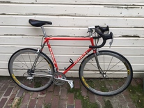 pinarello