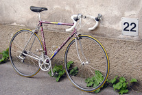 Pinarello Asolo photo