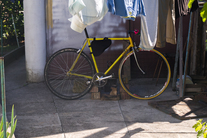 Pinarello city-daily-commuter photo