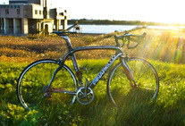 Pinarello Dogma 60.1 photo