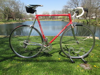 Pinarello Gavia photo