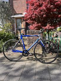 Pinarello Pista RC