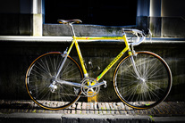 Pinarello Radius ~ Dario Pegoretti