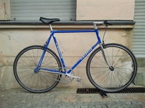 Pinarello - Singlespeed (Aelle 61cc)