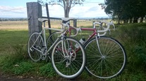 Pinarello Stelvio photo