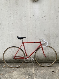 PINARELLO TRACK FCI