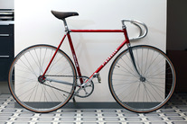 Pinarello Treviso photo