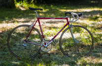 Pinarello Treviso photo