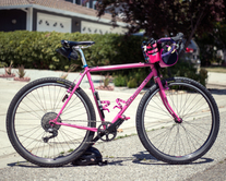 Pink Rattler photo