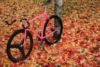 Pink Cinelli photo