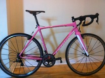 Pink Specialized Crux photo