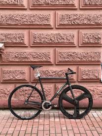 PIZZ T1 pizzicato photo PIZZ T1 pizzicato photo