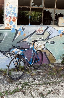 Polo and Bike Williamsburg photo