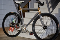 HNL Polo Bike