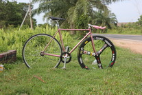 Procyon NJS