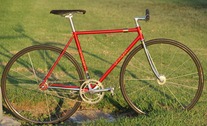 Procyon NJS