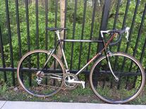 Proteus Tange Infinity Road 600 TriColor