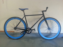 PF Black N Blue **SimplyFixed** photo