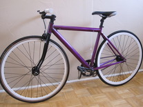 Purple Dawes SST-AL photo